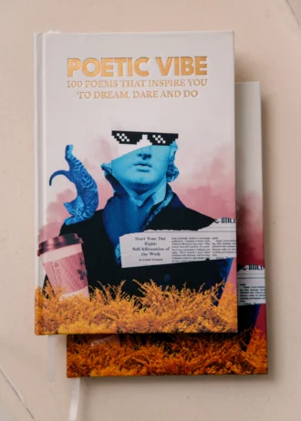 slide img vibe-01