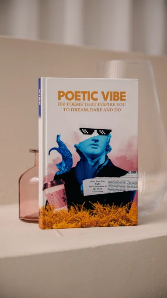 slide img vibe-05